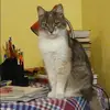 Отзыв от Яна Колесникова